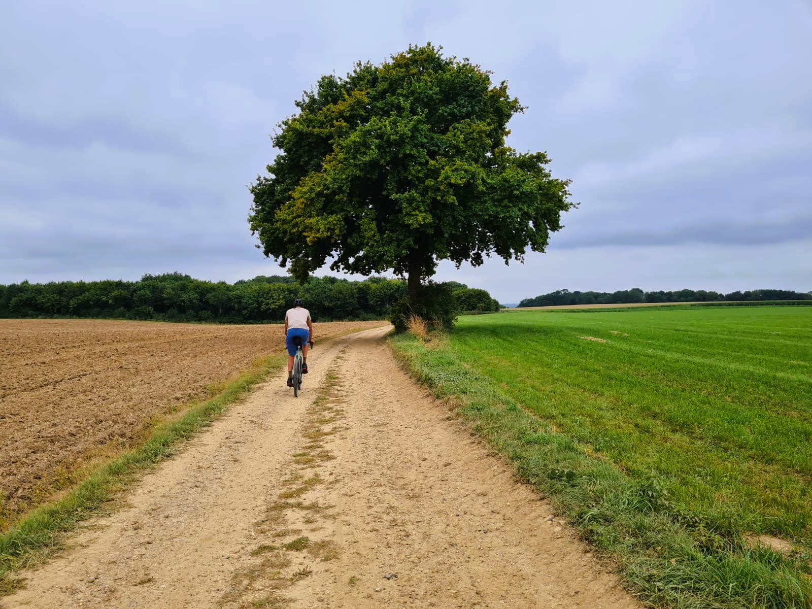Gravelbike Limburg Boom 5